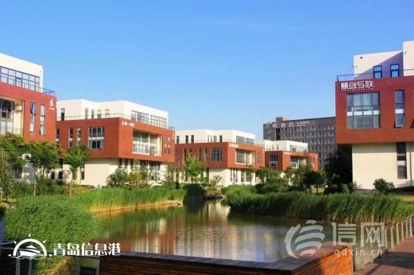 青島網(wǎng)谷打造低密度花園式辦公園區(qū) 已引進企業(yè)240余家