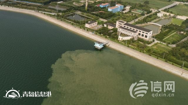 水資源匱乏城市亟需“解渴” 青島超前謀劃編織大水網