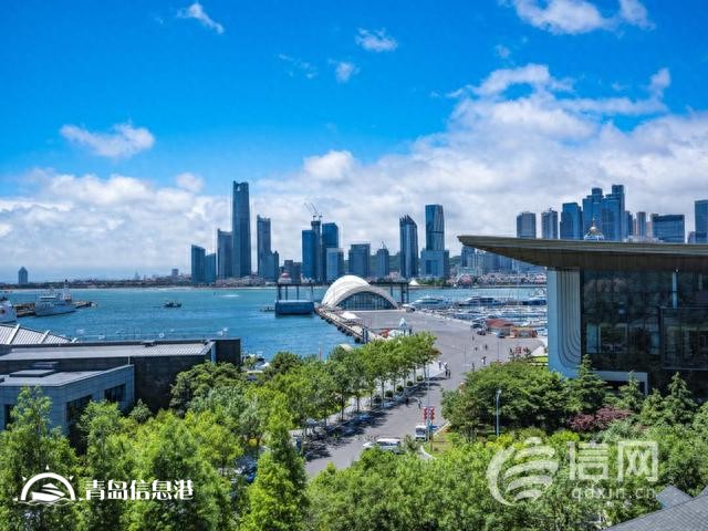 百舸爭(zhēng)流彰顯海洋宜人之城魅力 青島國(guó)際帆船周打造精彩盛會(huì)