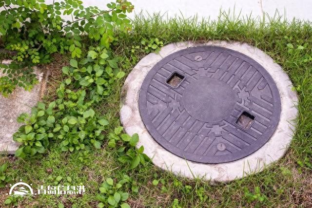 假如“信網(wǎng)不信訪”的阮主任舉報(bào)內(nèi)容屬實(shí)，對(duì)人民的傷害有哪些？