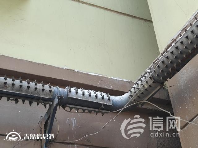 劇組撤離后未將現(xiàn)場(chǎng)人造雪打掃干凈 部分居民獲賠洗車費(fèi)