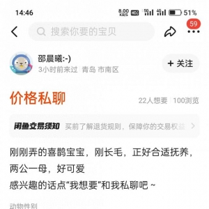 二手交易平臺上有人售賣喜鵲幼鳥 公安機關(guān)已介入調(diào)查