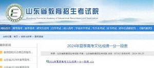 2024年山東省夏季高考文化成績(jī)一分一段表發(fā)布