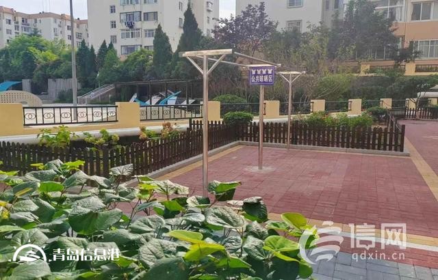 青島市北區(qū)這個(gè)街道的“城市牛皮癬”被徹底根除了