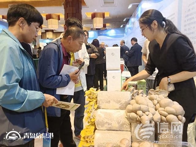 新品種新技術(shù) 國家食用菌產(chǎn)業(yè)技術(shù)體系“三新”交流會(huì)在萊西舉辦