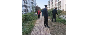 李園街道綜合行政執(zhí)法中隊(duì)：對(duì)侵占綠地種菜行為說“不”！ ...