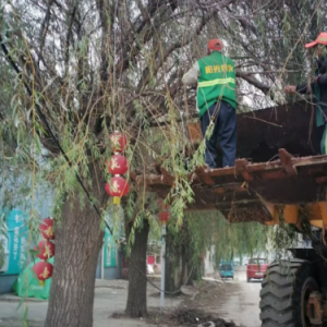 及時修剪行道樹，消除安全隱患
