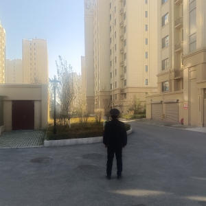 同和執(zhí)法中隊“守綠護(hù)綠”進(jìn)行時