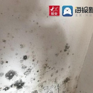 插座漏水墻皮脫落，領(lǐng)秀珊瑚灣新房質(zhì)量堪憂