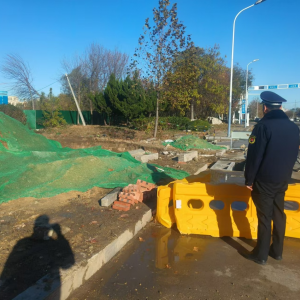加大執(zhí)法力度，打擊擅自毀綠行為，切實保護城市綠地
