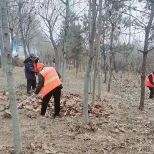 金陽光環(huán)衛(wèi)落實貫徹“大干30天，溫馨迎新年”號召，干凈祥和迎新春 ...