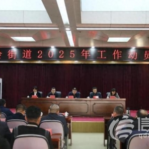 金家?guī)X街道召開2025年工作動員大會