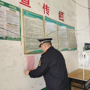 守護水域生態(tài)：嚴厲打擊非法捕撈，共護水生生物家園