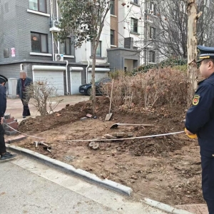 平度市東閣街道執(zhí)法中隊整治占綠毀綠，筑牢城市生態(tài)屏障