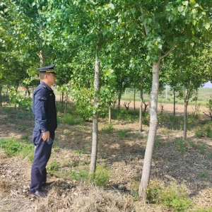 同和中隊(duì)：守護(hù)城市綠脈，繪就生態(tài)新圖